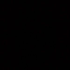 Meet your Posher, Sophia